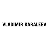 VLADIMIR KARALEEV logo - Similar company to Modalicious Sp.Zo.O