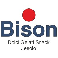 Bison Jesolo logo - Similar company to The Good Sourcing