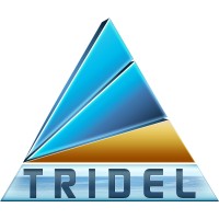 Tridel Technologies logo - Similar company to Tridal Technologies Plc