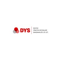 DYS Consultancy logo - Similar company to D&S Consulting