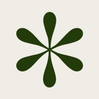 Aniseed logo - Similar company to Shortspro