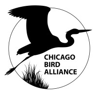 Chicago Bird Alliance logo - Similar company to Green Knight