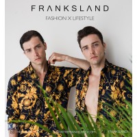 FRANKSLAND logo - Similar company to Beyound Digital Agency