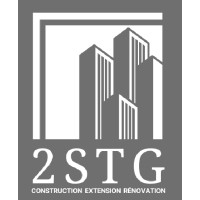 2STG logo - Similar company to Virtual Back Office