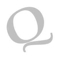 Quantum Consulting S.r.l. logo - Similar company to Z+Z