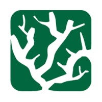 AbaNet logo - Similar company to Interdigita
