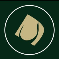 NEGARE | نگاره logo - Similar company to Carfillo