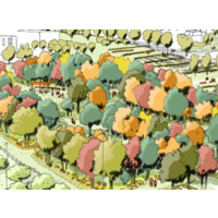 La Forêt de l'Homme Sec logo - Similar company to Agence Trois Canards