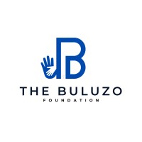 BULUZO FOUNDATION logo - Similar company to Yali Network Lagos