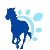 Bodywork 4 Horses logo - Similar company to Tenger Ways