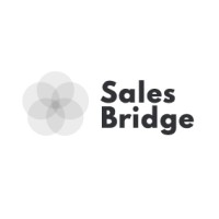 SalesBridge logo - Similar company to Twc.