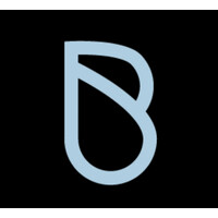 The BLESS app logo - Similar company to 303 Software