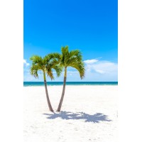 Landscaping & Gardening Works logo - Similar company to Heritage Landscaping & Interiors
