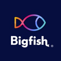Big Fish Group Limited logo - Similar company to Omnia Outsourcing Ltd