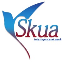 SKUA Software Services Pvt Ltd - Creditsafe Group logo - Similar company to Creditsafe Technology