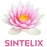 Sintelix logo - Similar company to Semantic Sciences Research Group