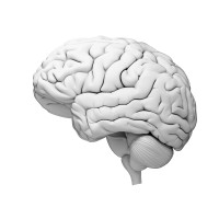 The Masters Course | Mindfulness And Stress Reduction