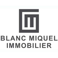 BLANC MIQUEL IMMOBILIER logo - Similar company to Flash Immobilier