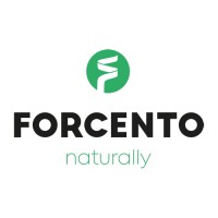 Forcento Ltd Liab Co logo - Similar company to Vision Spatial Technologies