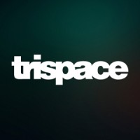 Trispace AG logo - Similar company to Wsa Office Project