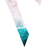 Gyoll logo - Similar company to Whichplm Advisory