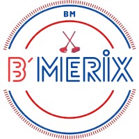 BMerix Städservice logo - Similar company to Dsdx Exchange