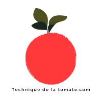 Technique de la tomate.com logo - Similar company to Tomate Cerise Ltd