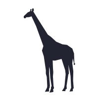 Brand Safari logo - Similar company to Stay In Touch Studio