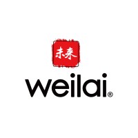 Weilai logo - Similar company to Buseando