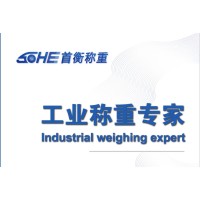 Beijing Shouheng Weighing Technology Co.,Ltd logo - Similar company to Beijing Shougang International Engineering Technology Co. Ltd.