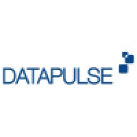 Datapulse logo - Similar company to Data Pulse