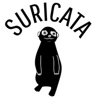 Suricata Lab logo - Similar company to Suricata Labs