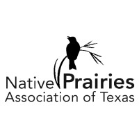 Native Prairies Association of Texas logo - Similar company to Trinity Park Conservancy