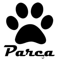 parca logo - Similar company to Ariesian Tech Pvt Ltd
