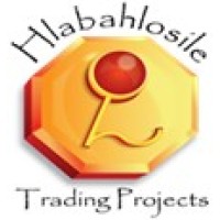 Hlabahlosile Trading Projects logo - Similar company to Siseko Financial Solutions