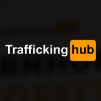 Traffickinghub logo - Similar company to Defend Young Minds