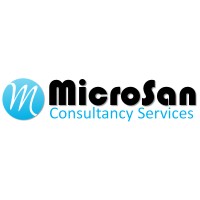 Microsan Consultancy Services logo - Similar company to Wingnet Solutions