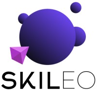 Skileo logo - Similar company to Dotspice.Com