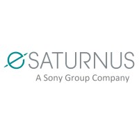 eSATURNUS, a Sony Group Company logo - Similar company to Argeüs