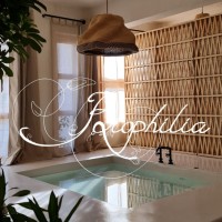 biophilia_luxurylofts logo - Similar company to Vanvino