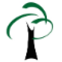 Live Oak Interactive