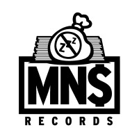 MNS Records logo - Similar company to Harvey Technical Services