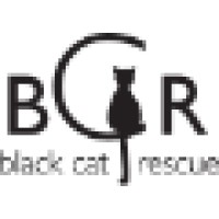 Black Cat Rescue logo - Similar company to Ottawa Stray Cat Rescue