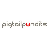 Pigtail Pundits helps businesses get wow results online. logo - Similar company to Opin, A Portage Cybertech Company