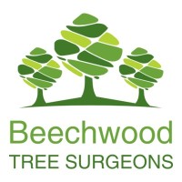 Beechwood Tree Surgeons Limited logo - Similar company to Beechwood Tree Care - Tree Surgery, Tree Removal & Hedge Trimming