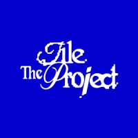 The Tile Project logo - Similar company to Transforma Consultoria S.L.