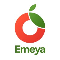 Emeya logo - Similar company to Heymyally
