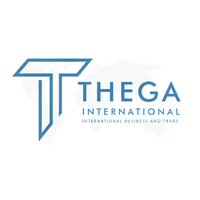 THEGA INTERNATIONAL GROUP logo - Similar company to Studio Ypsilon Ltd
