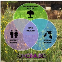 One Health Center for Research and Action logo - Similar company to Amazon Research Consortium For Climate Change And One Health