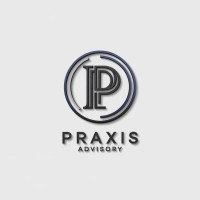 Praxis Advisory SARL logo - Similar company to Netbuzz Africa
